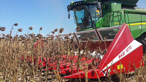 Жатки для подсолнечника НАШ-1273